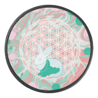 Palet De Hockey Lapin