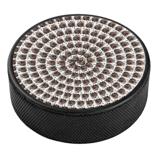 Palet De Hockey Le tourbillon de Wombat : une spirale de merveille (3/4/2016 12:00:00 AM)