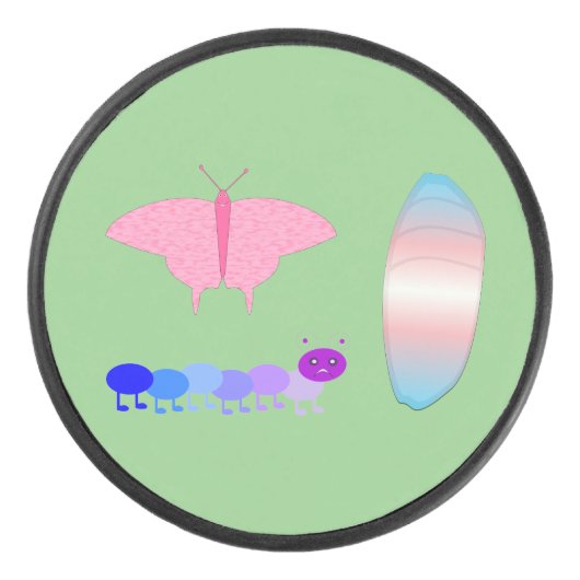 Palet De Hockey LGBTQIA Transgenre Fierté Caterpillar to Butfly (Devant)