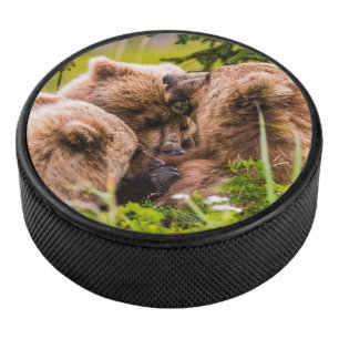 Palet De Hockey Mama bear nourrit ses deux petits, Lake Clark Nati