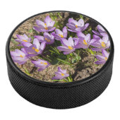 Palet De Hockey Mignons crocus de printemps (3/4/2016 12:00:00 AM)