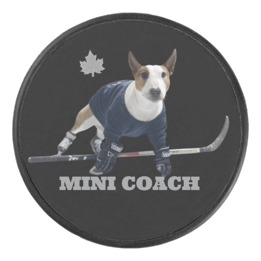 PALET DE HOCKEY MINI COACH (Devant)
