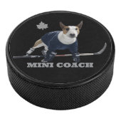PALET DE HOCKEY MINI COACH (3/4/2016 12:00:00 AM)