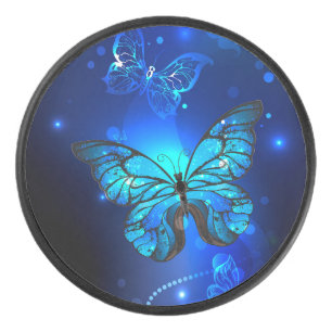 Palet De Hockey Morpho Butterfly in the Dark Background