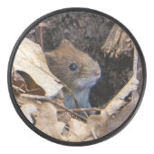 Palet De Hockey Mouse (Devant)