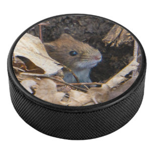Palet De Hockey Mouse