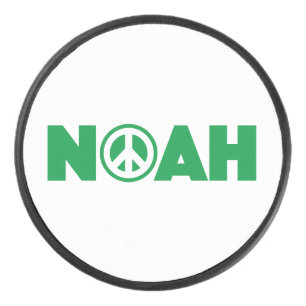 Palet De Hockey Noah