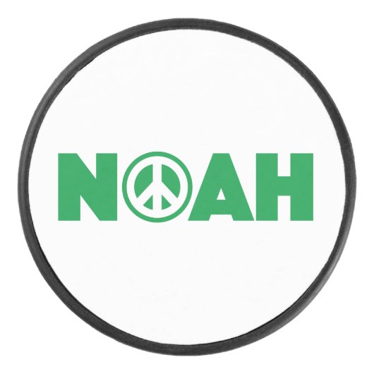 Palet De Hockey Noah (Devant)