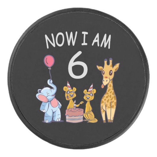 Palet De Hockey Now I (Devant)