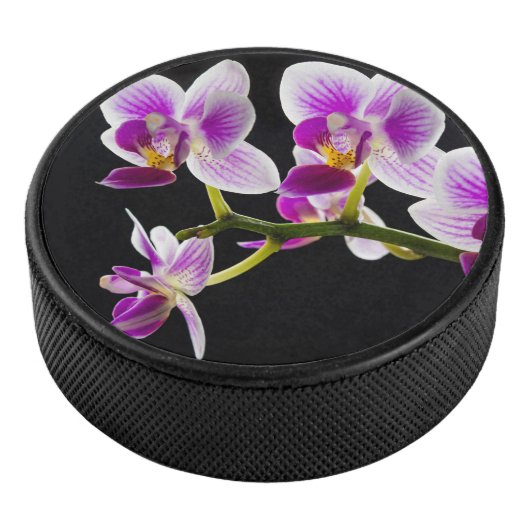 Palet De Hockey Orchidée blanche et violette (3/4/2016 12:00:00 AM)