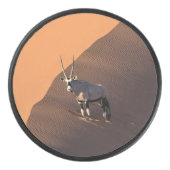 Palet De Hockey Oryx à la limite, Namibie (Devant)