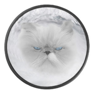 Palet De Hockey Ouragan Cat 5