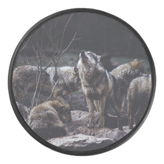 Palet De Hockey Pack Wolf (Devant)