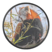 Palet De Hockey Panda rouge (Devant)