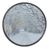 Palet De Hockey Parc couvert de neige (Devant)