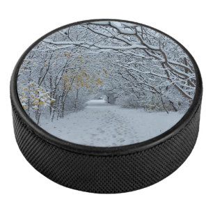 Palet De Hockey Parc couvert de neige