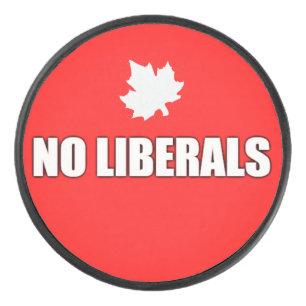 PALET DE HOCKEY PAS DE LIBÉRAUX