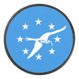 Palet De Hockey Patriotique hockeyeuse avec drapeau de Corpus Chri