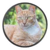 Palet De Hockey Petit chou doux (Devant)