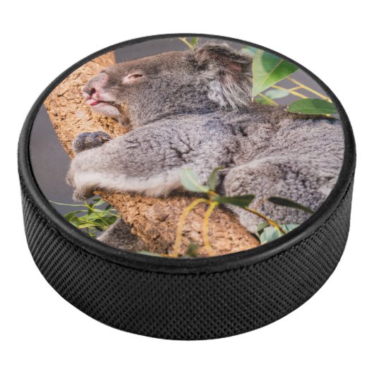 Palet De Hockey Petit koala doux (3/4/2016 12:00:00 AM)