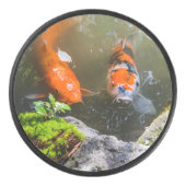 Palet De Hockey Poisson Koi dans un étang (Devant)