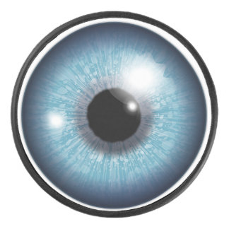 Palet de hockey pour les yeux