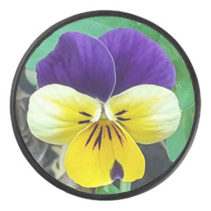 Palet De Hockey Purple et Yellow Pany