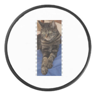 Palet De Hockey Regal Dave Hockey Puck