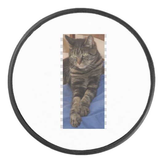 Palet De Hockey Regal Dave Hockey Puck (Devant)