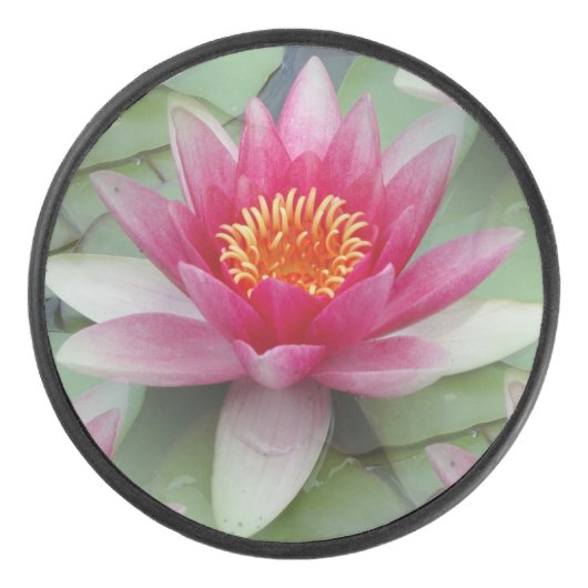 Palet De Hockey Rose Lotus Water Lily (Devant)