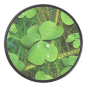 Palet De Hockey Shamrock vert St Patrick iPhone 5 Coque-Mate (Devant)