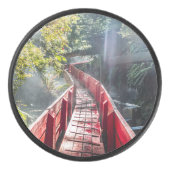 Palet De Hockey Soleil dans les Termas Geometricas, Conaripe, Chil (Devant)