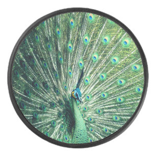 Palet De Hockey Strut Peacock