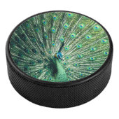 Palet De Hockey Strut Peacock (3/4/2016 12:00:00 AM)