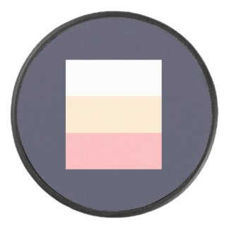 Palet de hockey sur glace