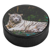 Palet De Hockey Tigre (3/4/2016 12:00:00 AM)