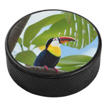 Toucan tropical dans un arbre