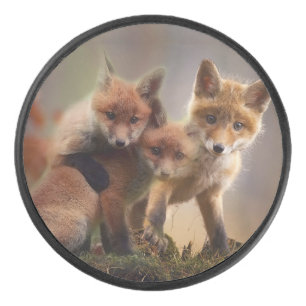 Palet De Hockey Triplets Foxy