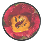 Palet De Hockey Tuliforme rouge (Devant)