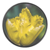 Palet De Hockey Tulipe jaune (Devant)