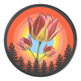 Palet De Hockey tulips nature botanical plant 