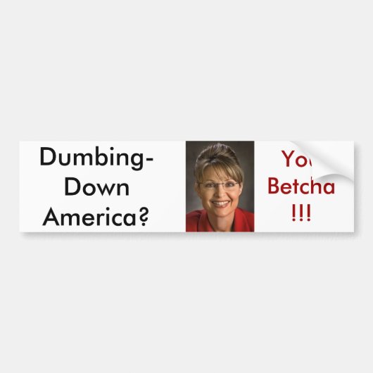 Palin1 Bumpersticker (Voorkant)