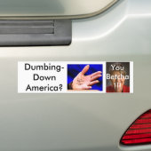 Palin3 Bumpersticker (Op auto)
