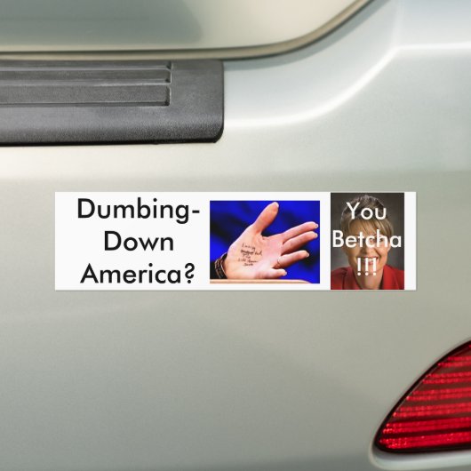 Palin3 Bumpersticker (Op auto)