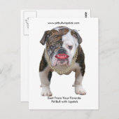 Palin Pit Bull avec carte postale Lipstick (Devant / Derrière)