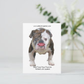 Palin Pit Bull met lippenstift Briefkaart (Staand voorkant)