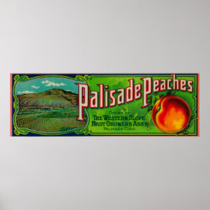 Palisade-etiket Poster