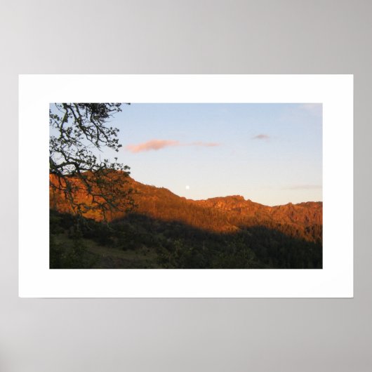 "Palisades" Poster (Voorkant)