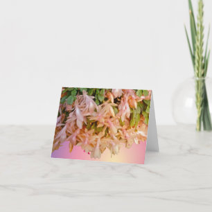 Pâlissez - la carte de note rose de cactus de Noël