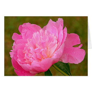 Pâlissez - la pivoine rose sur des produits